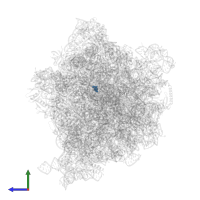 Modified residue OMG in PDB entry 8p16, assembly 1, side view.