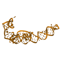 The deposited structure of PDB entry 8p2f contains 1 copy of Rfam domain RF00001 (5S ribosomal RNA) in 5S ribosomal RNA. Showing 1 copy in chain K [auth B].