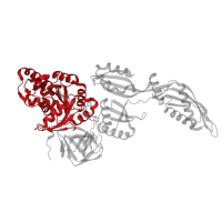 The deposited structure of PDB entry 8p2f contains 1 copy of Pfam domain PF00009 (Elongation factor Tu GTP binding domain) in Elongation factor G. Showing 1 copy in chain M [auth E].