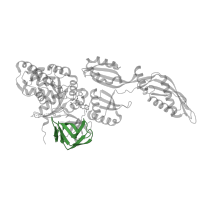 The deposited structure of PDB entry 8p2f contains 1 copy of Pfam domain PF03144 (Elongation factor Tu domain 2) in Elongation factor G. Showing 1 copy in chain M [auth E].