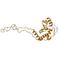 The deposited structure of PDB entry 8p2f contains 1 copy of Pfam domain PF00573 (Ribosomal protein L4/L1 family) in Large ribosomal subunit protein uL4. Showing 1 copy in chain Q [auth I].