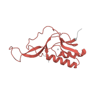 The deposited structure of PDB entry 8p2f contains 1 copy of Pfam domain PF00252 (Ribosomal protein L16p/L10e) in Large ribosomal subunit protein uL16. Showing 1 copy in chain W [auth P].