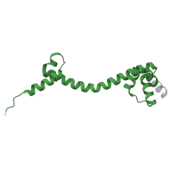 The deposited structure of PDB entry 8p2f contains 1 copy of Pfam domain PF00453 (Ribosomal protein L20) in Large ribosomal subunit protein bL20. Showing 1 copy in chain AA [auth T].