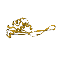 The deposited structure of PDB entry 8p2f contains 1 copy of Pfam domain PF00237 (Ribosomal protein L22p/L17e) in Large ribosomal subunit protein uL22. Showing 1 copy in chain CA [auth V].