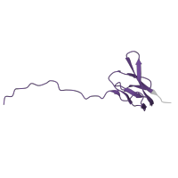 The deposited structure of PDB entry 8p2f contains 1 copy of Pfam domain PF01016 (Ribosomal L27 protein) in Large ribosomal subunit protein bL27. Showing 1 copy in chain GA [auth Z].