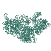 The deposited structure of PDB entry 8p2f contains 1 copy of Rfam domain RF00177 (Bacterial small subunit ribosomal RNA) in 16S ribosomal RNA. Showing 1 copy in chain HA [auth a].