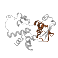 The deposited structure of PDB entry 8p2f contains 1 copy of Pfam domain PF01479 (S4 domain) in Small ribosomal subunit protein uS4. Showing 1 copy in chain LA [auth e].