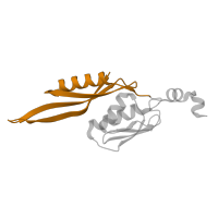 The deposited structure of PDB entry 8p2f contains 1 copy of Pfam domain PF00333 (Ribosomal protein S5, N-terminal domain) in Small ribosomal subunit protein uS5. Showing 1 copy in chain MA [auth f].