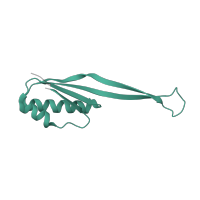 The deposited structure of PDB entry 8p2f contains 1 copy of Pfam domain PF00338 (Ribosomal protein S10p/S20e) in Small ribosomal subunit protein uS10. Showing 1 copy in chain RA [auth k].