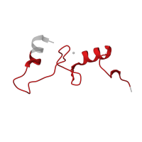 The deposited structure of PDB entry 8p2f contains 1 copy of Pfam domain PF00253 (Ribosomal protein S14p/S29e) in Small ribosomal subunit protein uS14B. Showing 1 copy in chain VA [auth o].