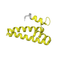The deposited structure of PDB entry 8p2f contains 1 copy of Pfam domain PF00312 (Ribosomal protein S15) in Small ribosomal subunit protein uS15. Showing 1 copy in chain WA [auth p].