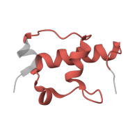 The deposited structure of PDB entry 8p2f contains 1 copy of Pfam domain PF01084 (Ribosomal protein S18) in Small ribosomal subunit protein bS18. Showing 1 copy in chain ZA [auth s].