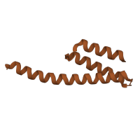 The deposited structure of PDB entry 8p2f contains 1 copy of Pfam domain PF01649 (Ribosomal protein S20) in Small ribosomal subunit protein bS20. Showing 1 copy in chain BB [auth u].