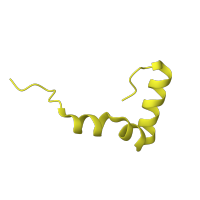 The deposited structure of PDB entry 8p2f contains 1 copy of Pfam domain PF00468 (Ribosomal protein L34) in Large ribosomal subunit protein bL34. Showing 1 copy in chain G [auth 7].