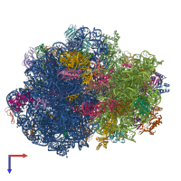 PDB entry 8p2f coloured by chain, top view.