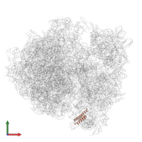 Small ribosomal subunit protein bS20 in PDB entry 8p2f, assembly 1, front view.