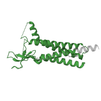 The deposited structure of PDB entry 8p3q contains 4 copies of Pfam domain PF00822 (PMP-22/EMP/MP20/Claudin family) in Voltage-dependent calcium channel gamma-2 subunit. Showing 1 copy in chain F.