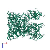 Core protein OPG136 in PDB entry 8p4k, assembly 1, top view.