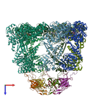 PDB entry 8p4n coloured by chain, top view.