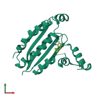 Monomeric assembly 2 of PDB entry 8p59 coloured by chemically distinct molecules, front view.