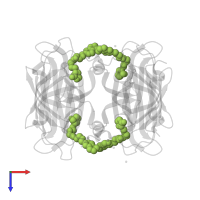 5-[(3~{a}~{S},4~{S},6~{a}~{R})-2-oxidanylidene-1,3,3~{a},4,6,6~{a}-hexahydrothieno[3,4-d]imidazol-4-yl]-~{N}-[2-(3,4-dihydro-2~{H}-pyrano[2,3-c]pyridin-6-ylmethylamino)ethyl]pentanamide in PDB entry 8p5y, assembly 1, top view.