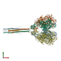 PDB entry 8pbz coloured by chain, front view.