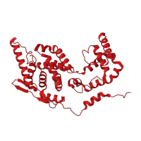 The deposited structure of PDB entry 8pdl contains 1 copy of Pfam domain PF03246 (Pneumovirus nucleocapsid protein) in Nucleoprotein. Showing 1 copy in chain A.