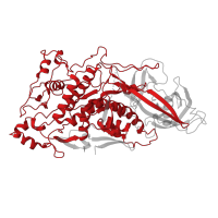 The deposited structure of PDB entry 8pe4 contains 2 copies of Pfam domain PF09220 (L-A virus, major coat protein) in Major capsid protein. Showing 1 copy in chain B.
