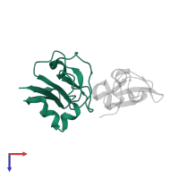 Sequence-variable mosaic (SVM) signal sequence domain-containing protein in PDB entry 8pfc, assembly 2, top view.
