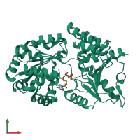 PDB entry 8pfp coloured by chain, front view.