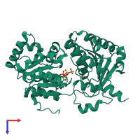 PDB entry 8pfp coloured by chain, top view.