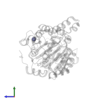 ZINC ION in PDB entry 8pfp, assembly 1, side view.