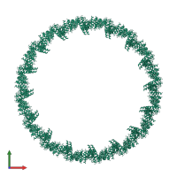 Homo 64-meric assembly 1 of PDB entry 8pht coloured by chemically distinct molecules, front view.