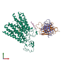 PDB entry 8phw coloured by chain, front view.