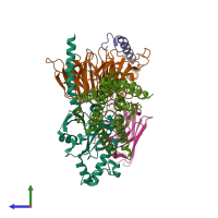 PDB entry 8pm2 coloured by chain, side view.