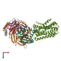 PDB entry 8pm2 coloured by chain, top view.