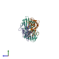 Hetero tetrameric assembly 1 of PDB entry 8pmx coloured by chemically distinct molecules, side view.