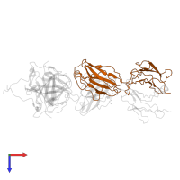 Fab p60.12-HC in PDB entry 8pmx, assembly 1, top view.