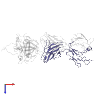 Fab p60.12-LC in PDB entry 8pmx, assembly 1, top view.