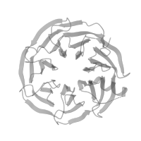 The deposited structure of PDB entry 8pqw contains 4 copies of Pfam domain PF08513 (LisH) in Platelet-activating factor acetylhydrolase IB subunit beta. Showing 1 copy in chain B (this domain is out of the observed residue ranges!).