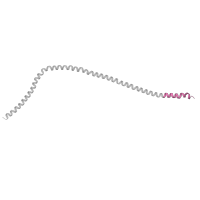 The deposited structure of PDB entry 8pqw contains 2 copies of Pfam domain PF12455 (Dynein associated protein ) in Dynactin subunit 1. Showing 1 copy in chain F.