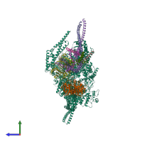 PDB entry 8pqw coloured by chain, side view.
