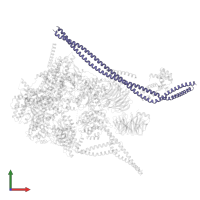 Dynactin subunit 1 in PDB entry 8pqw, assembly 1, front view.