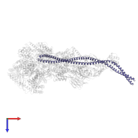 Dynactin subunit 1 in PDB entry 8pqw, assembly 1, top view.