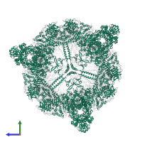 Fatty acid synthase subunit alpha in PDB entry 8prw, assembly 1, side view.