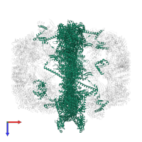 Fatty acid synthase subunit alpha in PDB entry 8prw, assembly 1, top view.