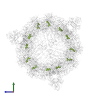 NADP NICOTINAMIDE-ADENINE-DINUCLEOTIDE PHOSPHATE in PDB entry 8prw, assembly 1, side view.