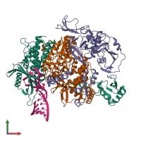 Hetero pentameric assembly 1 of PDB entry 8pt2 coloured by chemically distinct molecules, front view.