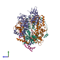 Hetero pentameric assembly 1 of PDB entry 8pt2 coloured by chemically distinct molecules, side view.