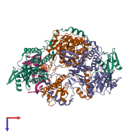 Hetero pentameric assembly 1 of PDB entry 8pt2 coloured by chemically distinct molecules, top view.